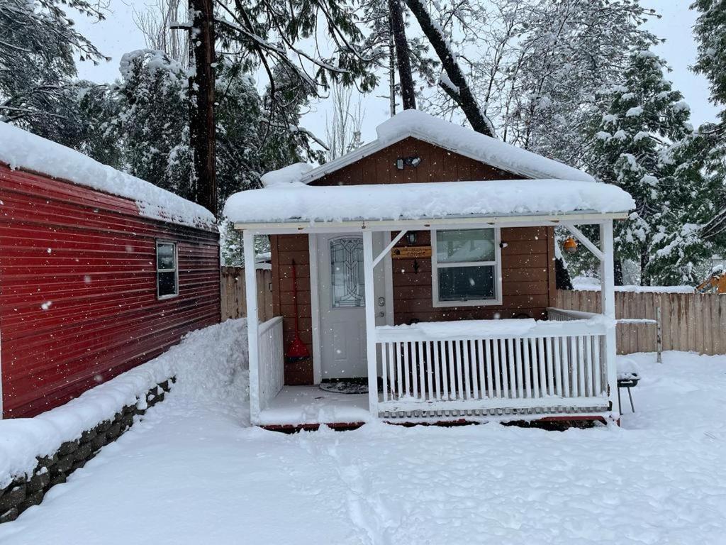 Acorn Cottage - Hidden Gem In Green Heaven, Getaway To Bass Lake & Yosemite Oakhurst Exterior foto